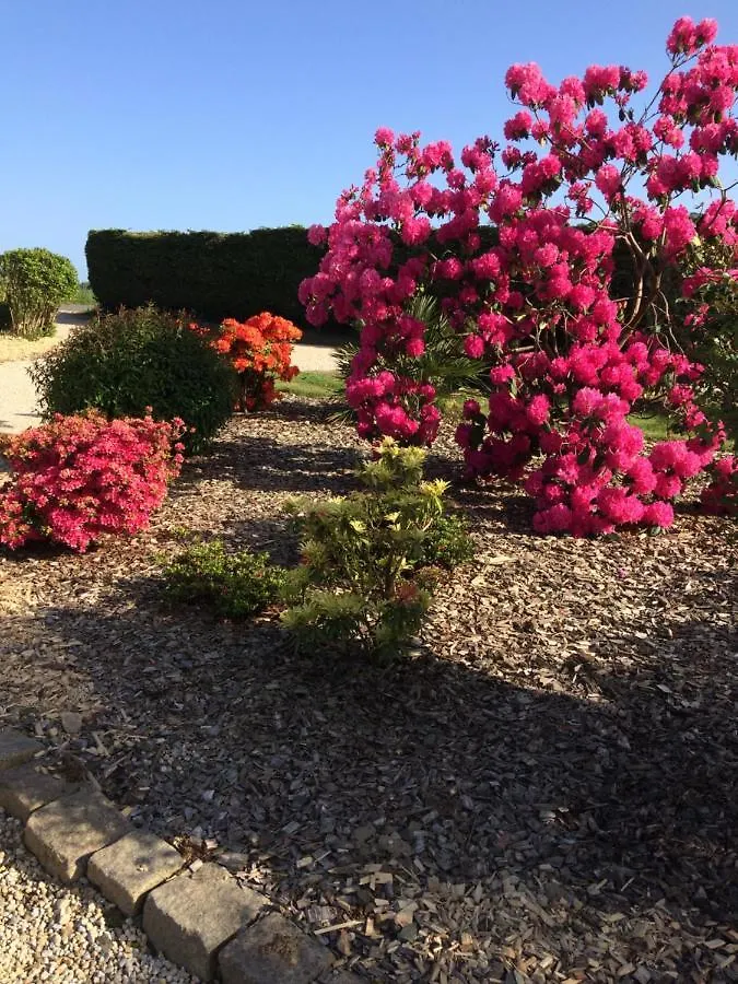 Maison Des Hirondelles Bed & Breakfast Bourseul 0*,